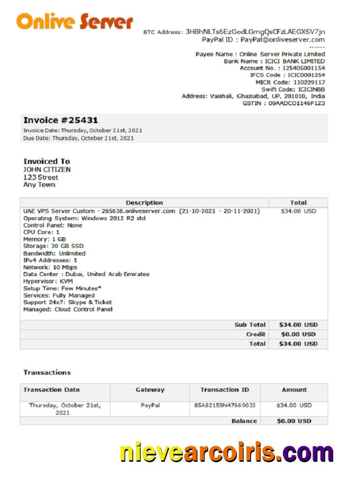 India Online Server company invoice